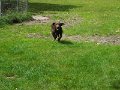 Afb_20160711 (30)